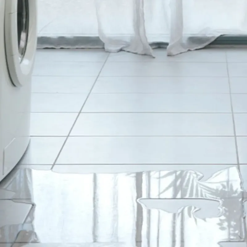 Appliance Leak Cleanup in Sand Lake, MI