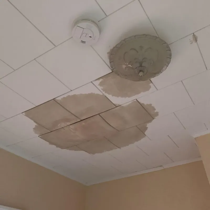 Ceiling Water Damage Repair in Sand Lake, MI