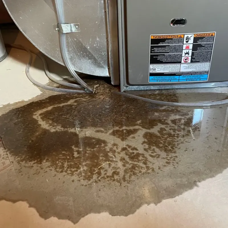 Pipe Burst and Leak Restoration in Sand Lake, MI