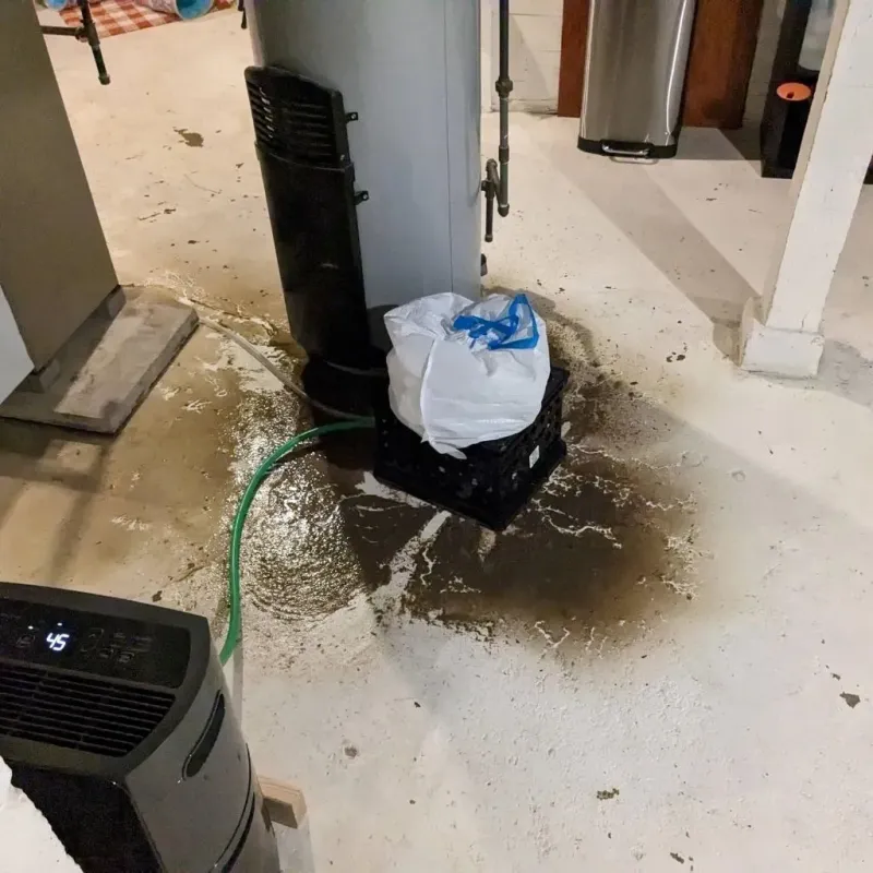 Sewage Backup Cleanup Service in Sand Lake, MI